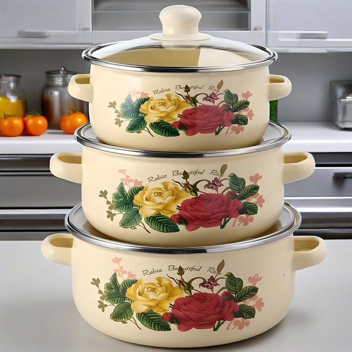 Enamel Stock Pot Set with Lids